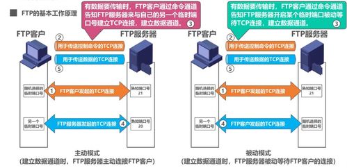 计算机网络 六 应用层 4 5 域名系统dns 文件传送协议ftp